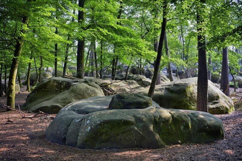Maison De Charme En Foret De Fontainebleau Recloses 외부 사진
